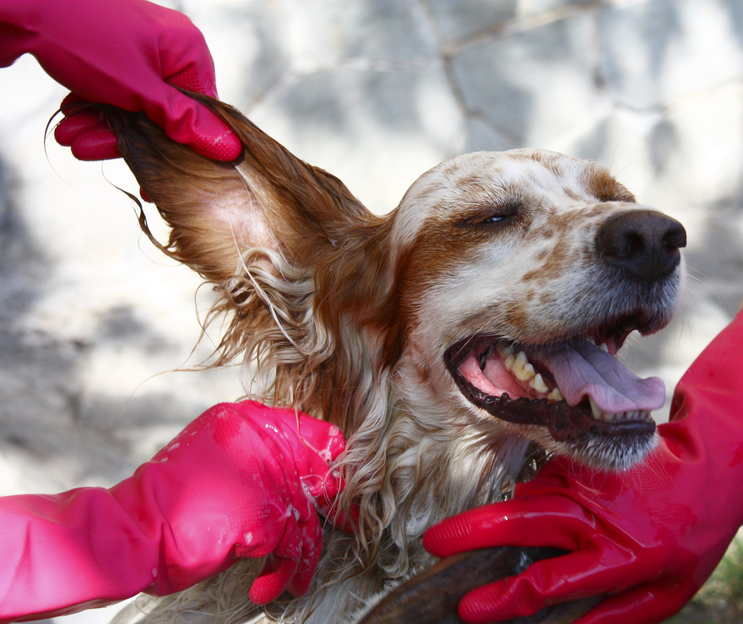 ThinkstockPhotos-92207935.jpg