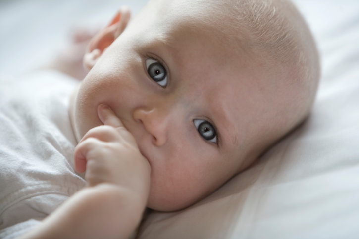 ThinkstockPhotos-97771166.jpg ThinkstockPhotos-97771166.jpg