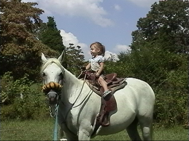 Three_year_old_girl_riding_an_Arabian_horse.jpg