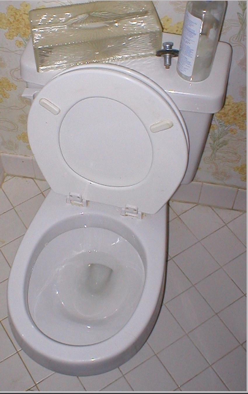 Toilet_370x580.jpg