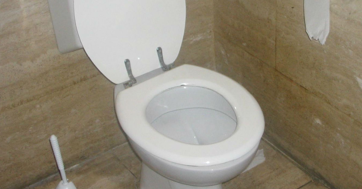 Toilet_with_flush_water_tank.jpg