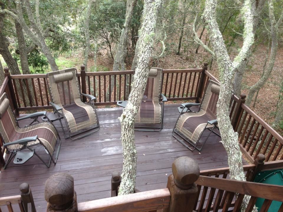 Treehouse-11.jpg