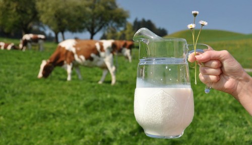 Unpasteurized-MilkMarlerblog.com_.jpg