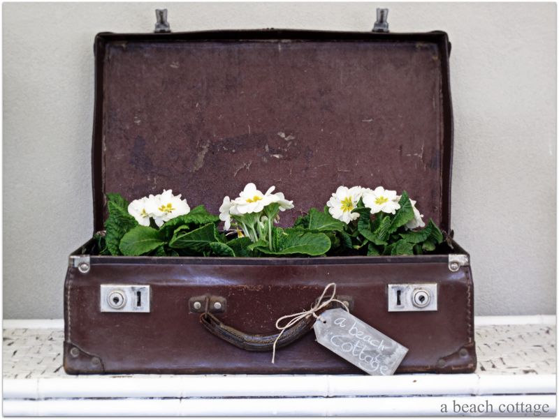 Upcycled-Vintage-Suitcase-DIY-Planter.jpg