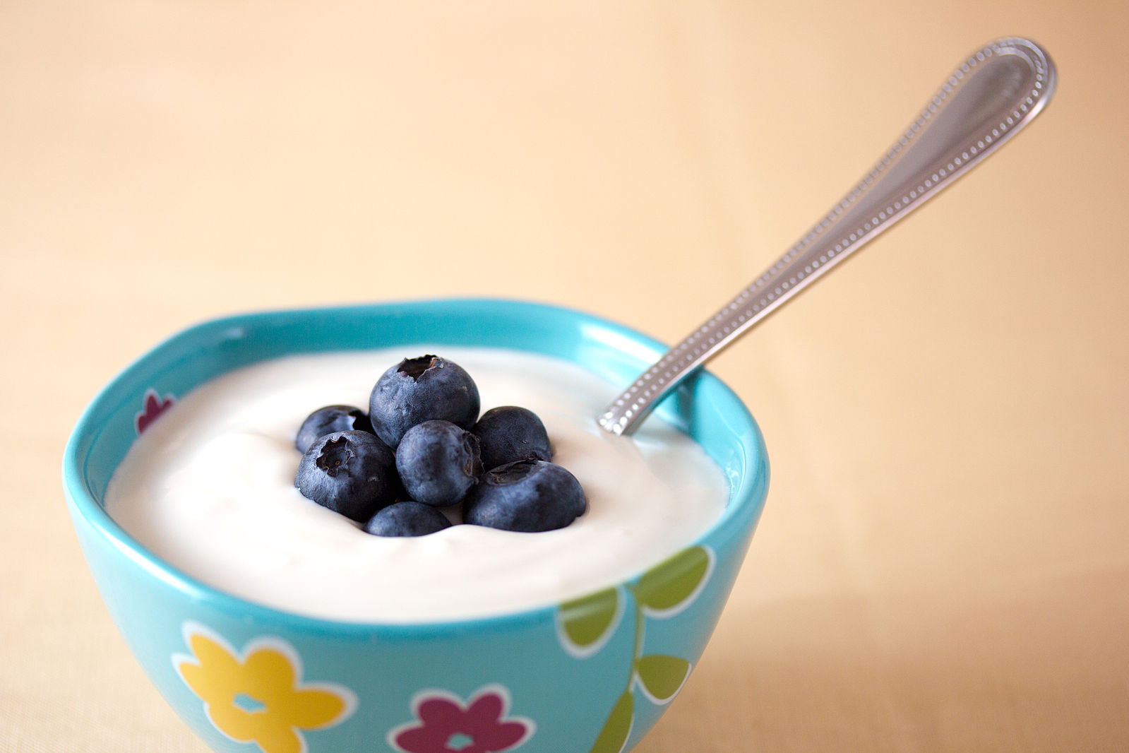 Vegan_yogurt_March_2012.jpg