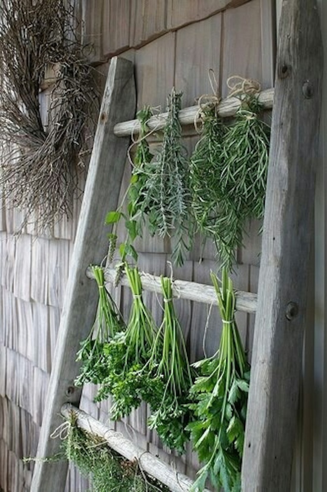 Vintage-Ladder-Herbs.jpg