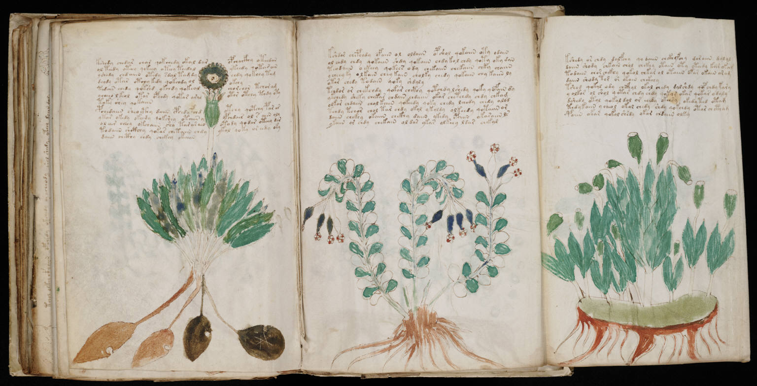 Voynich_Manuscript_170.jpg