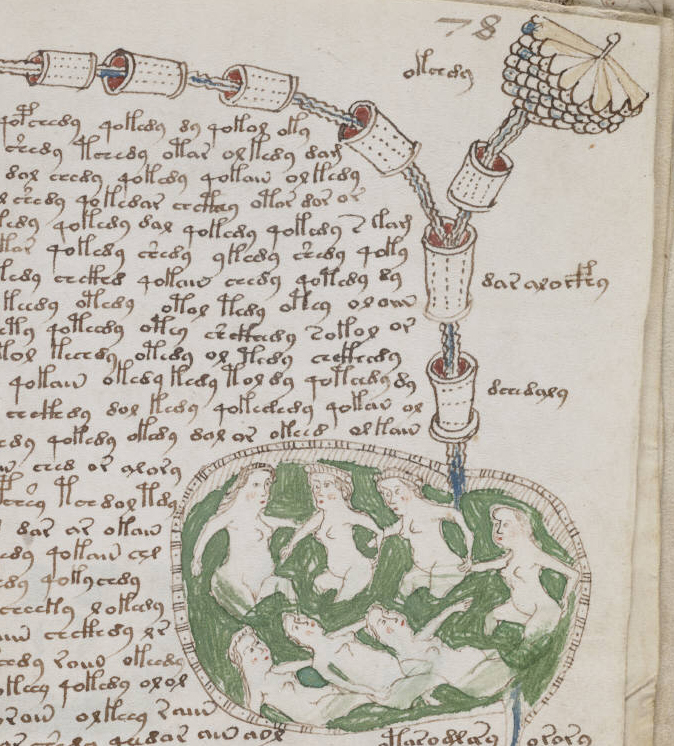 Voynich_manuscript_bathtub2_example_78r_cropped.jpg