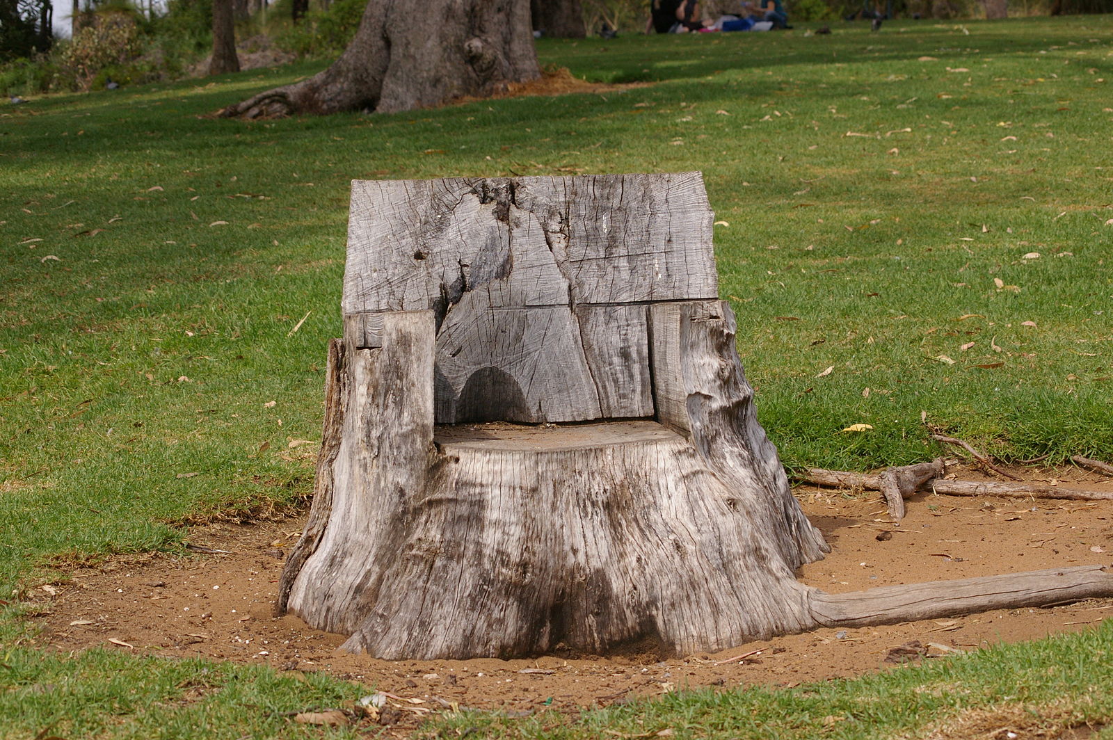 WTJ_Parker_D_Neil_Hawkins_Park_tree_stump_seat_1.jpg