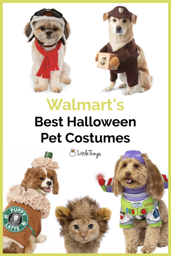 Walmart-Best-Halloween-Pet-Costumes-Pinterest-Image.jpg