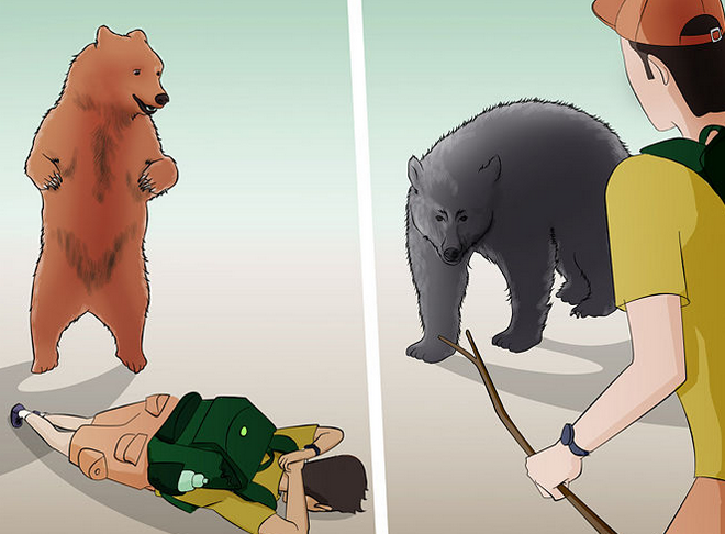 WikiHow.png