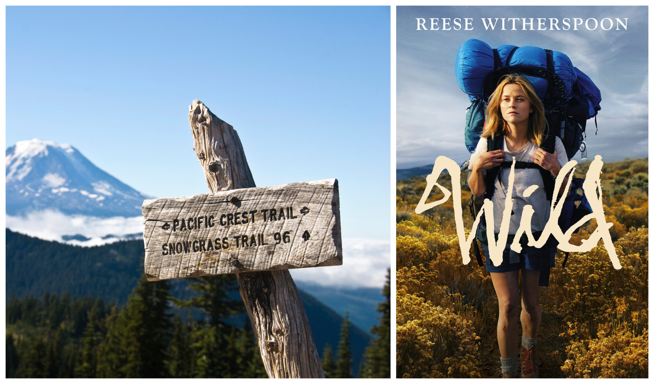 Wild-collage.jpg