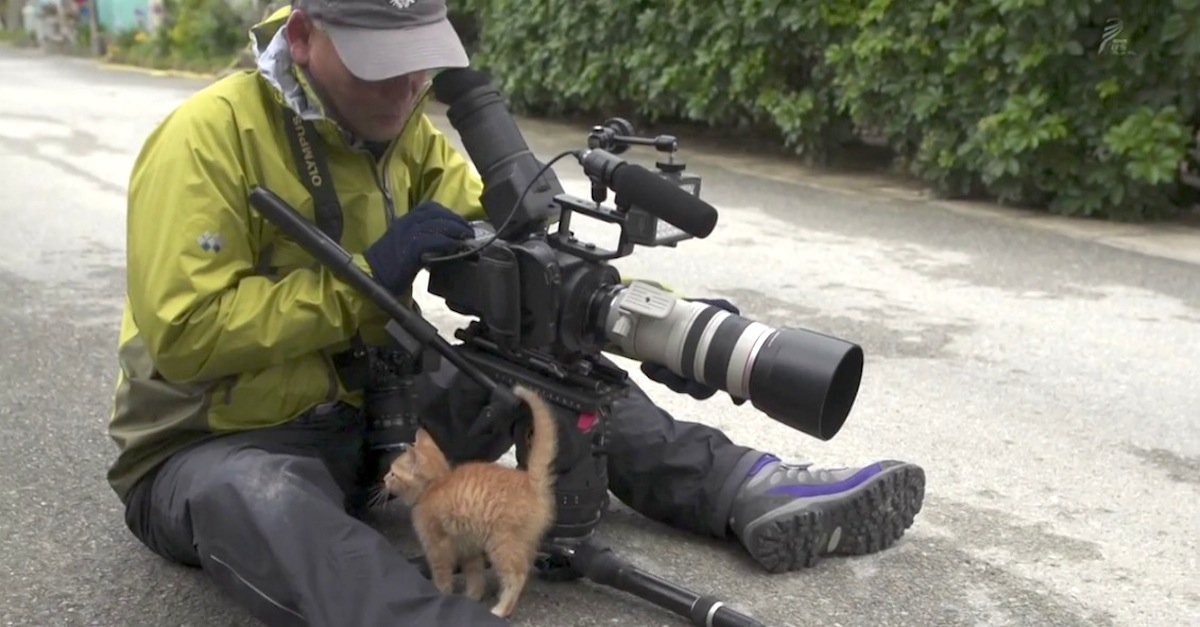 Wildlife photographer Mitsuaki Iwago