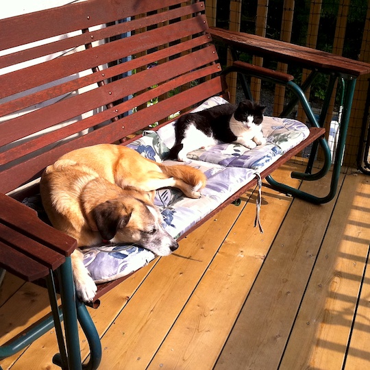 Winnie-and-Kiana-2011-07-18-at-09-44-37.jpg