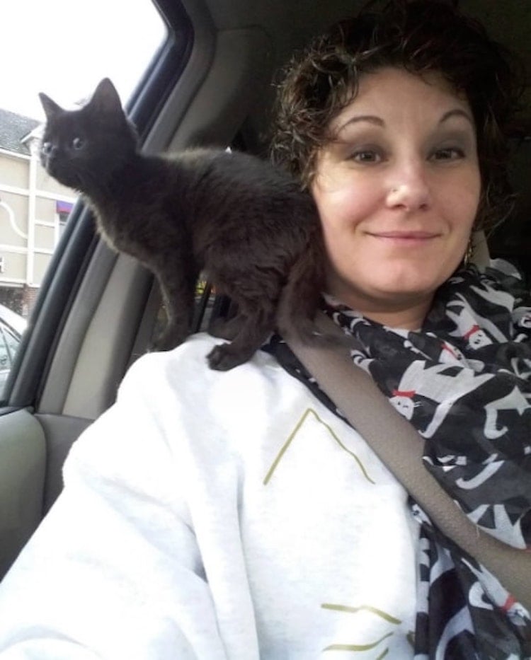 Winnie-cat-1.jpg Winnie-cat-1.jpg