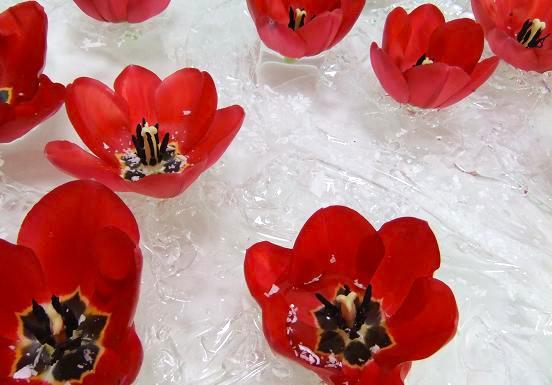 Without-a-bubble-wrap-skirt-the-tulips-will-slowly-fill-with-water-and-sink-552x385-1.jpg