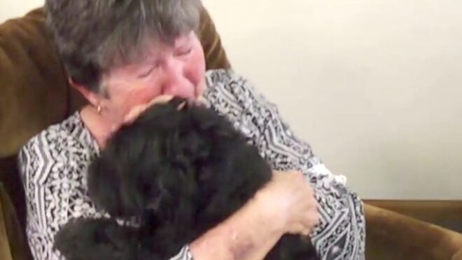 Woman reunited with her dog mothers day