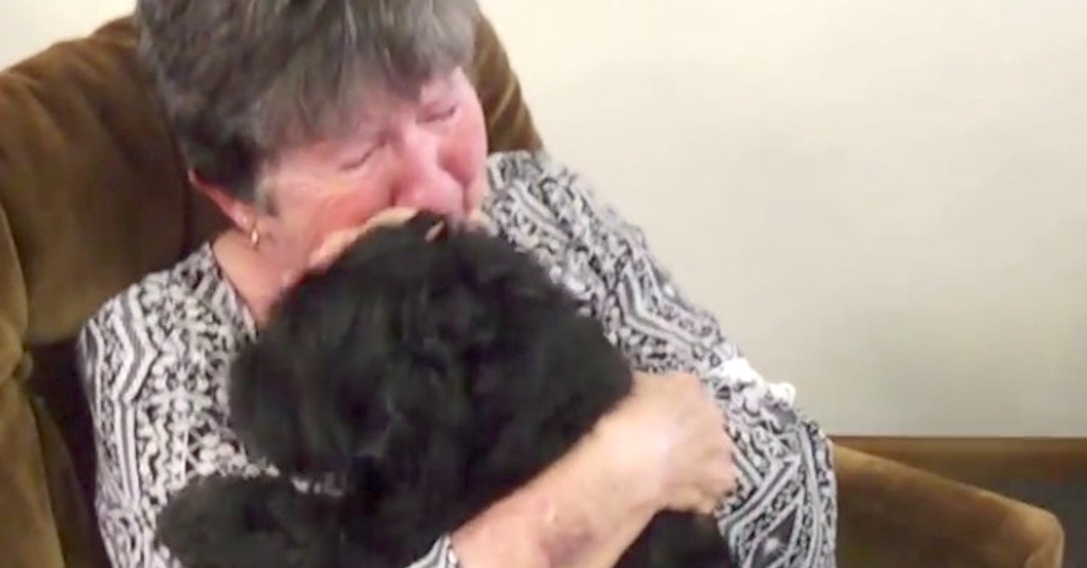 Woman reunited with her dog mothers day