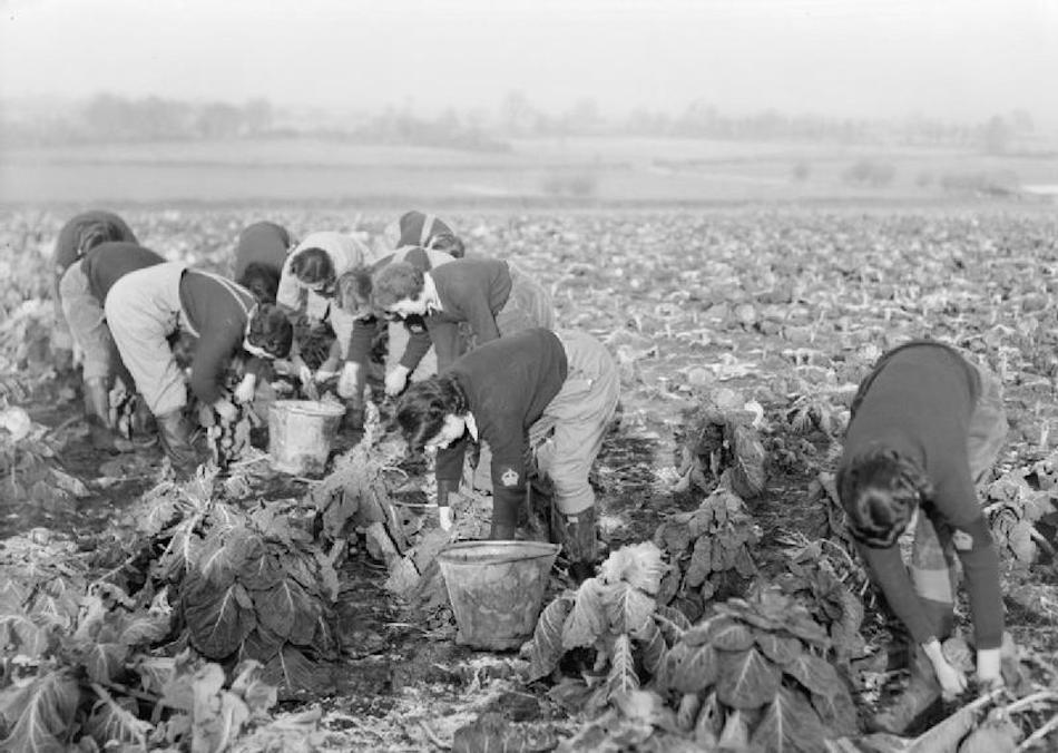 Womens_Land_Army_Training_at_Cannington_Farm_Somerset_England_UK_c_1940_D115.jpg