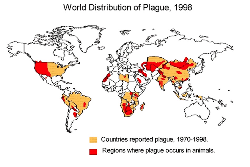 World_distribution_of_plague_1998.jpg