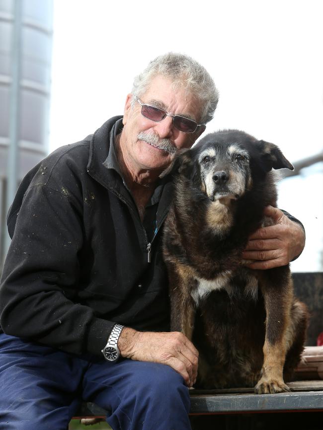 Worlds-Oldest-Dog-9.jpg