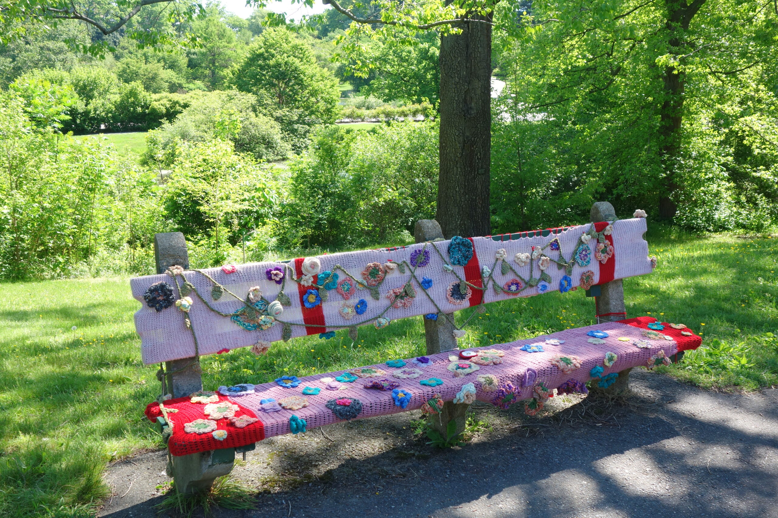 Yarn_bombing_-_Arnold_Arboretum_-_DSC06722.jpg