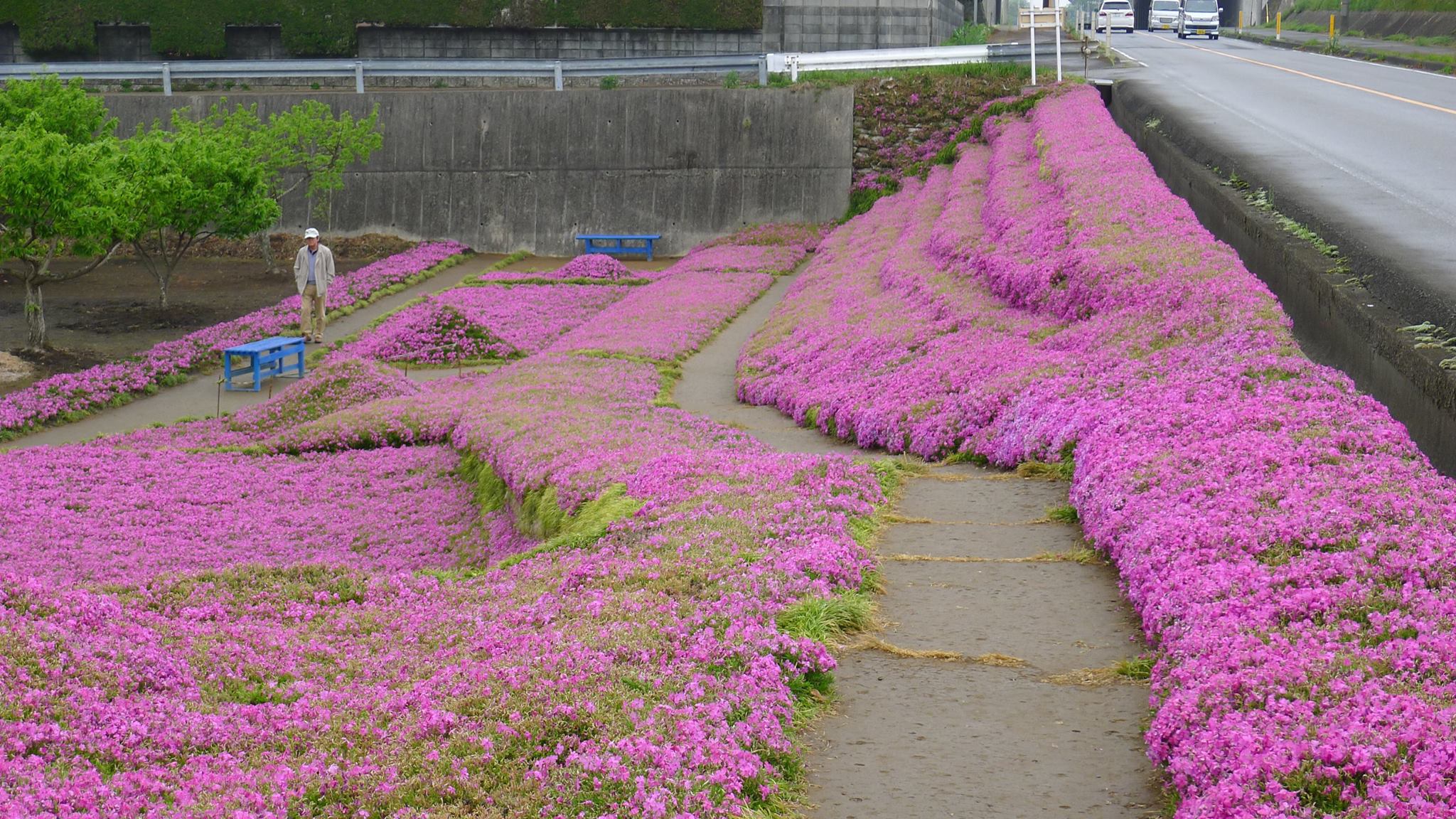 Yoshiyuki-Matsumoto3.jpg