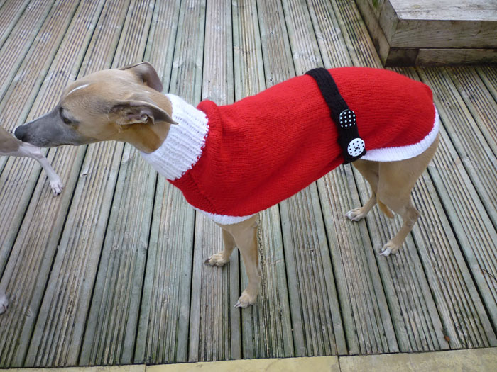 abandoned-greyhounds-christmas-sweaters-knitted-with-love-jan-brown-8.jpg