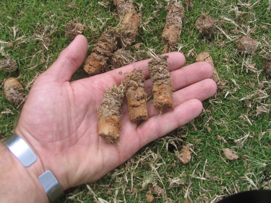 aerated-lawn.jpg