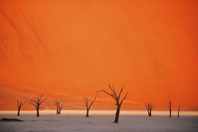 africa2.jpg
