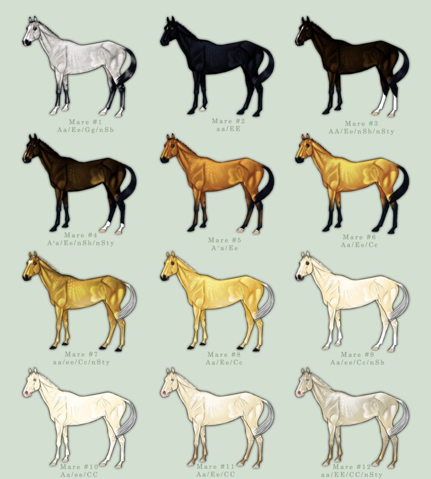 akhal_teke_auction_by_jnferrigno-d3cgg7n.jpg