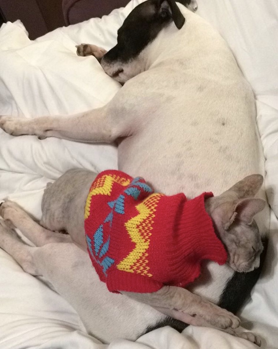 alaska-stitch.jpg