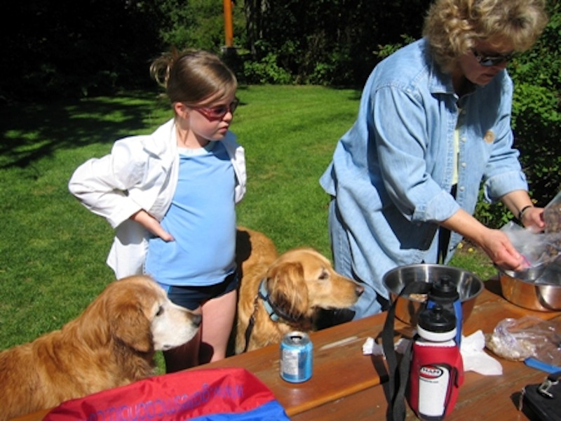 alfie-Golden-Bears-Picnic1.jpg