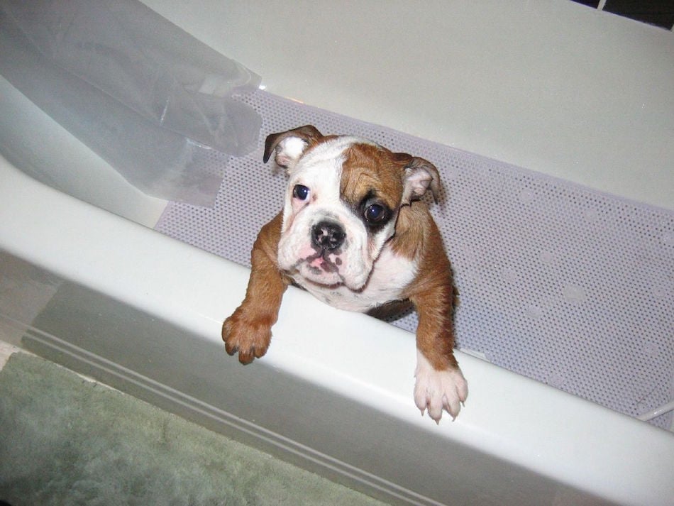 allergies-bath.jpg