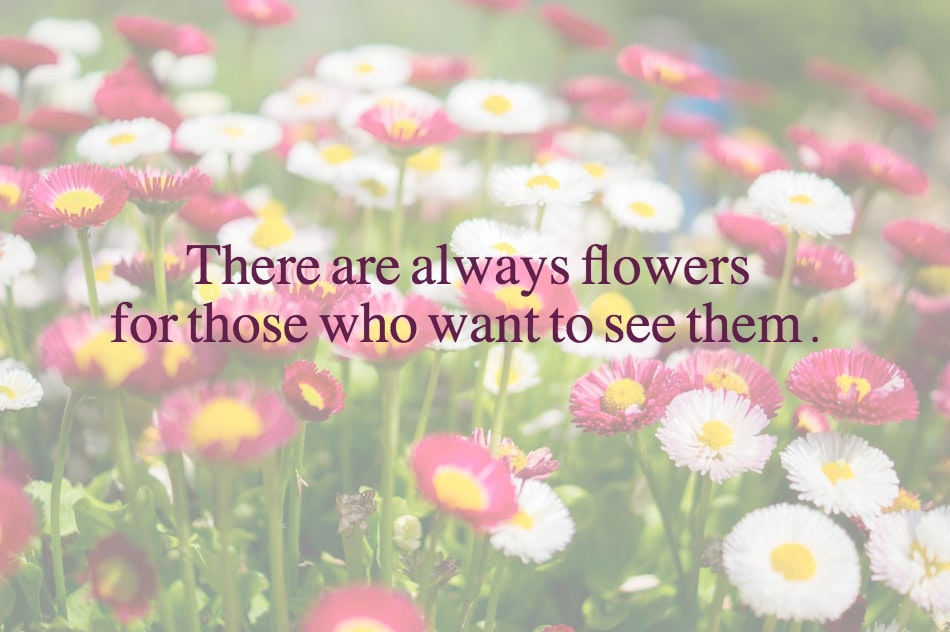 always-flowers1.jpg