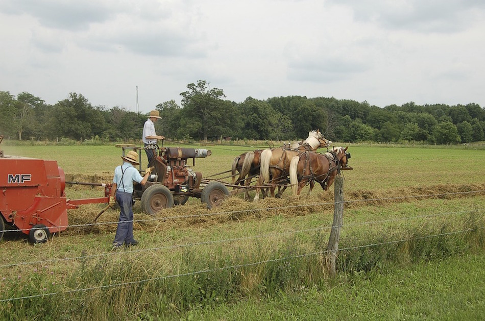 amish-287405_960_720.jpg