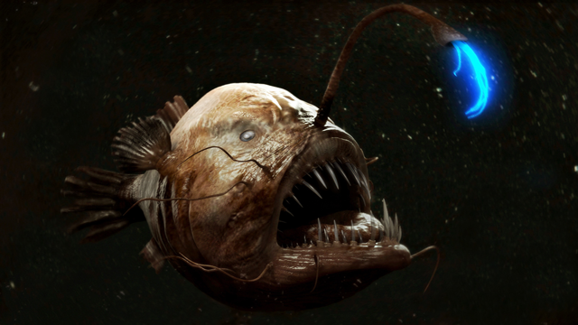 anglerfish.png