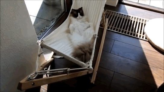 anigif_enhanced-12599-1404310220-33.gif