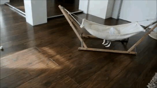 anigif_enhanced-7873-1404310203-12.gif