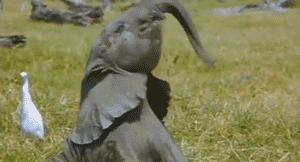 anigif_enhanced-buzz-31201-1396891438-4.gif anigif_enhanced-buzz-31201-1396891438-4.gif