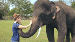 anigif_enhanced-buzz-9631-1396900211-5.gif