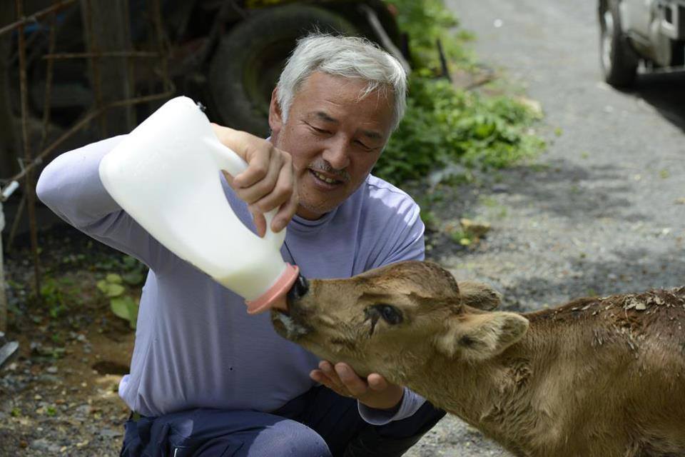 animal1.jpg animal1.jpg