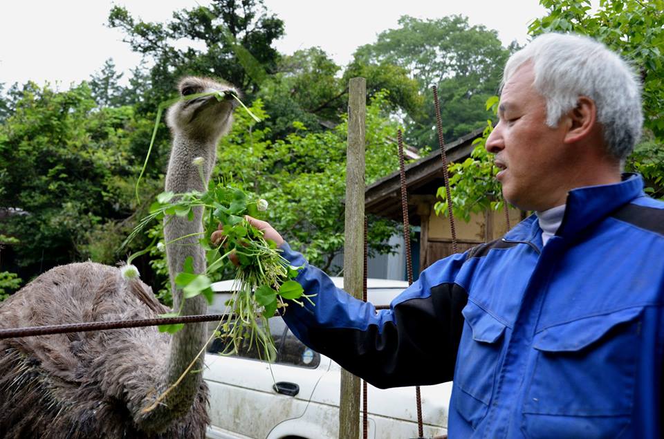 animal4.jpg