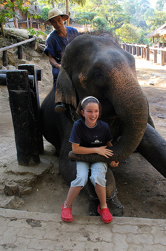 animalhugs05.jpg