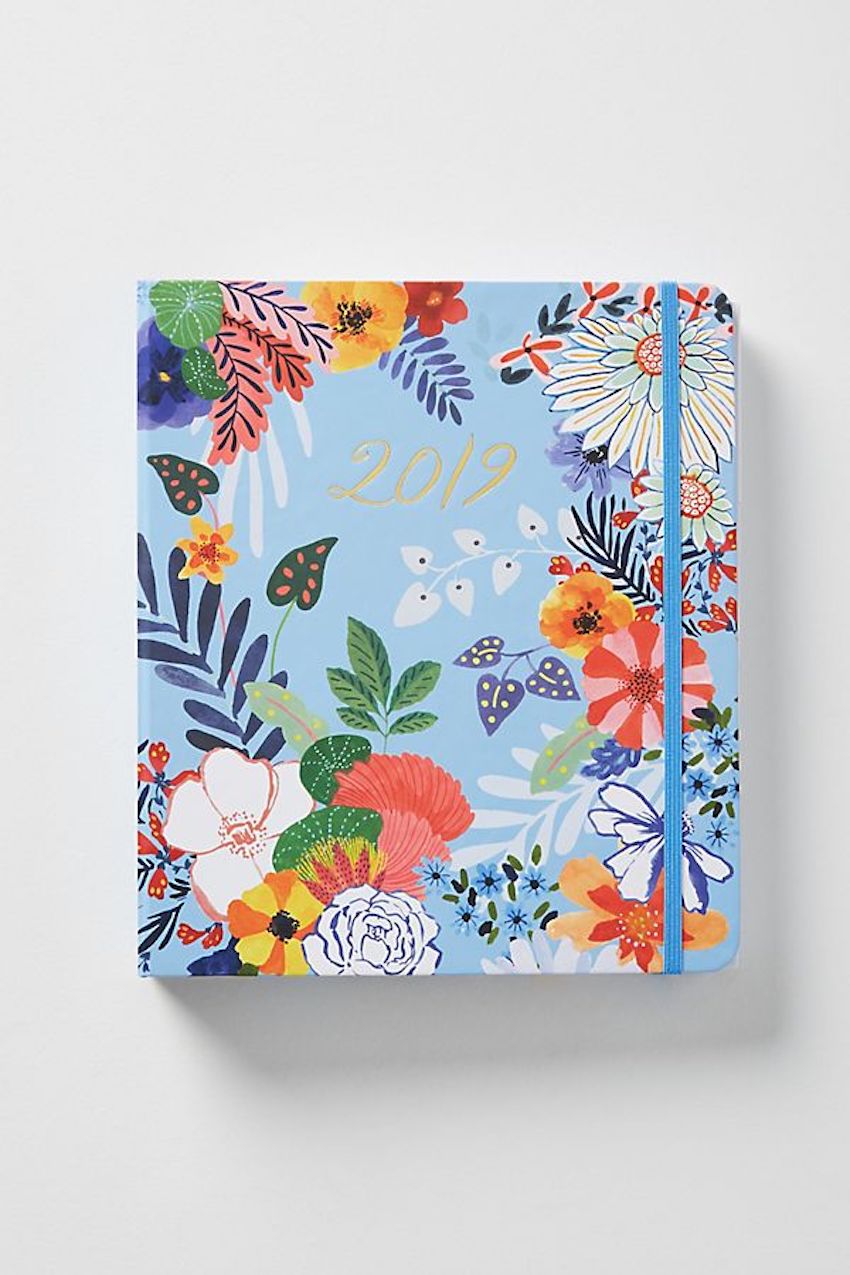 anthropologie