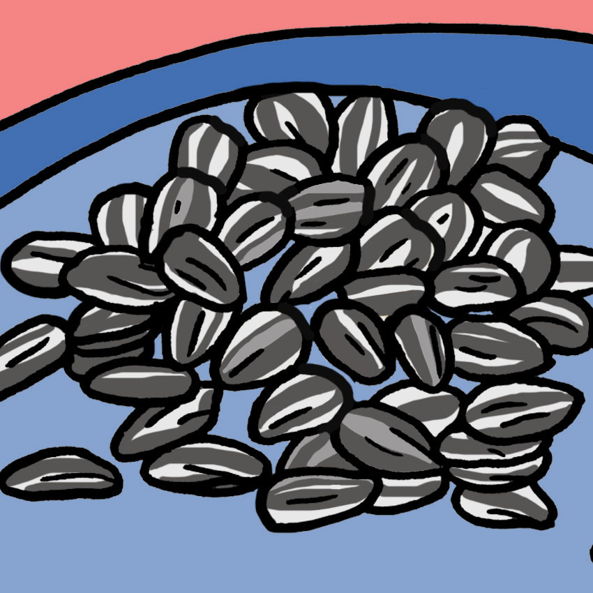 are-sunflower-seeds-bad-for-you-2.jpg