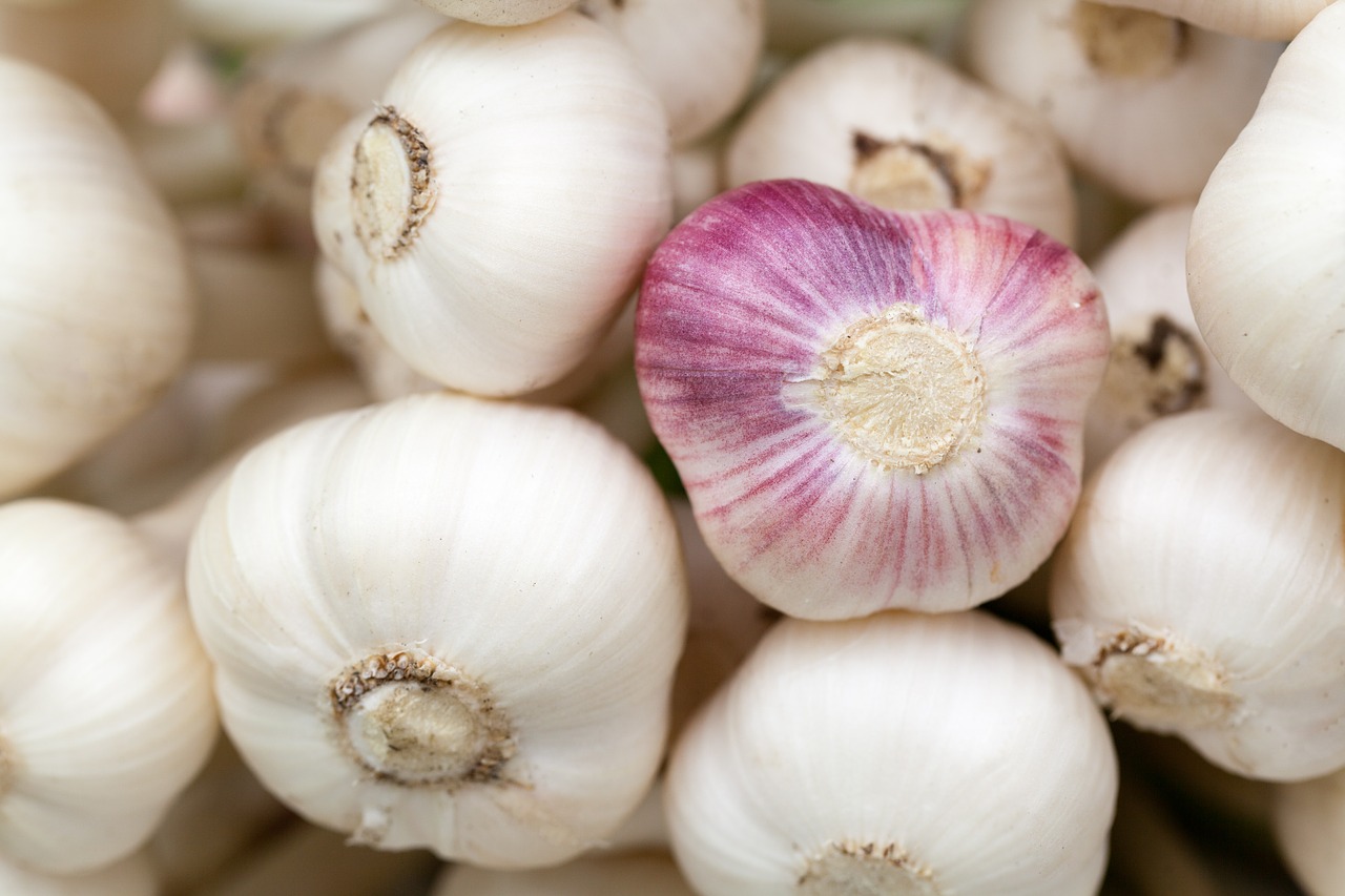 aromatic-84691_1280.jpg