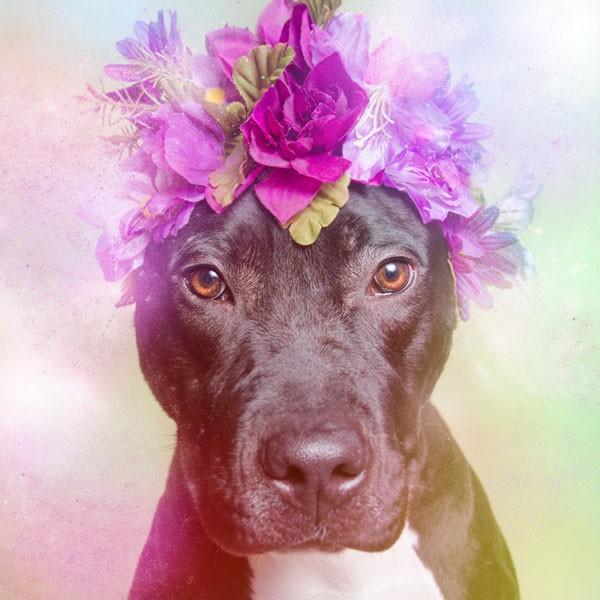 athena.jpg