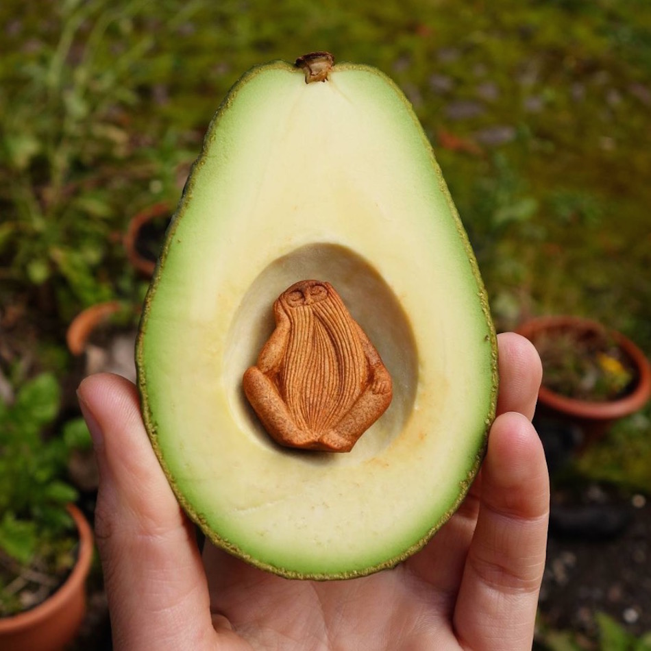 avocado-1.jpg