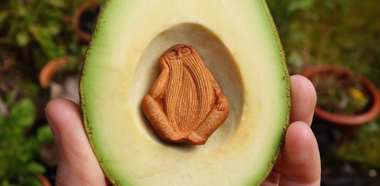 avocado HP